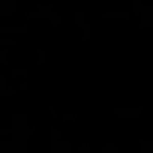 Meet your Posher, Rose